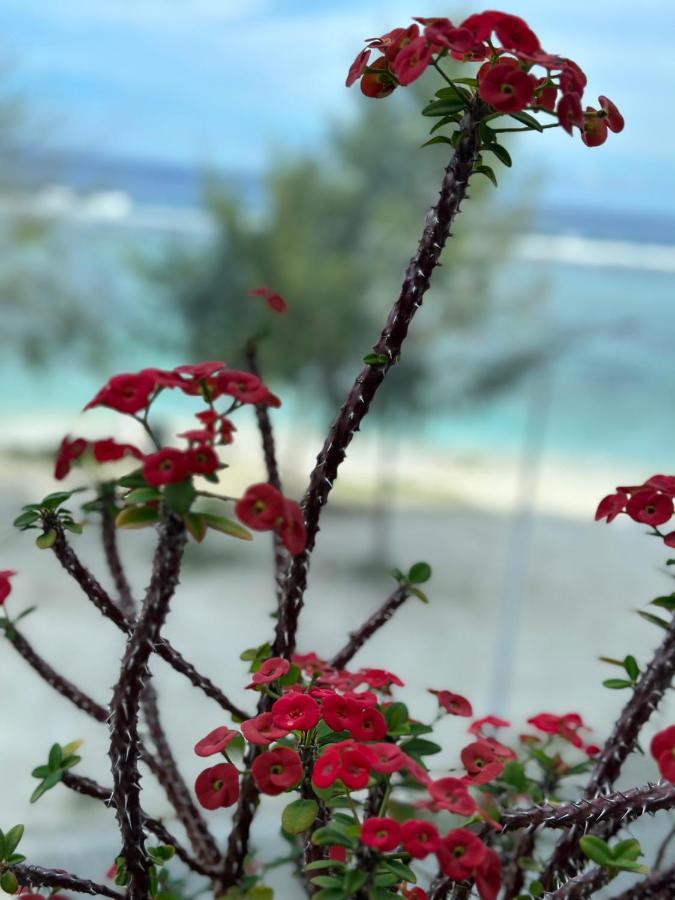 Lazzlla Beach Front Apartments 훌루말레 외부 사진